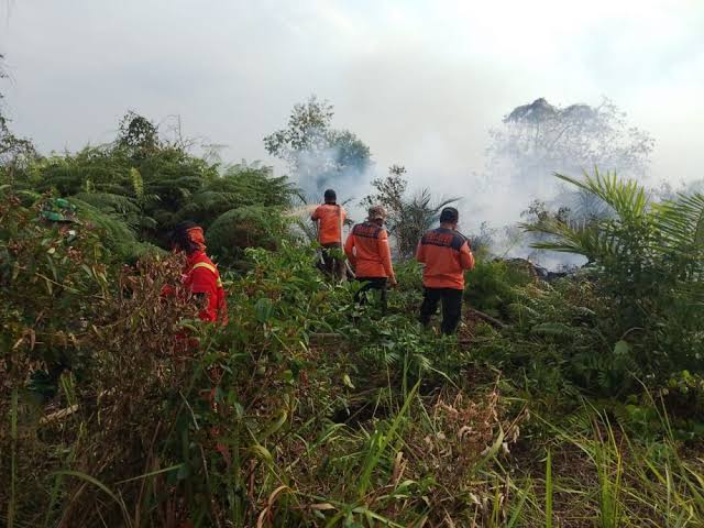 Ilustrasi Riau jadi salah satu wilayah terbanyak muncul hotspot (foto/int)